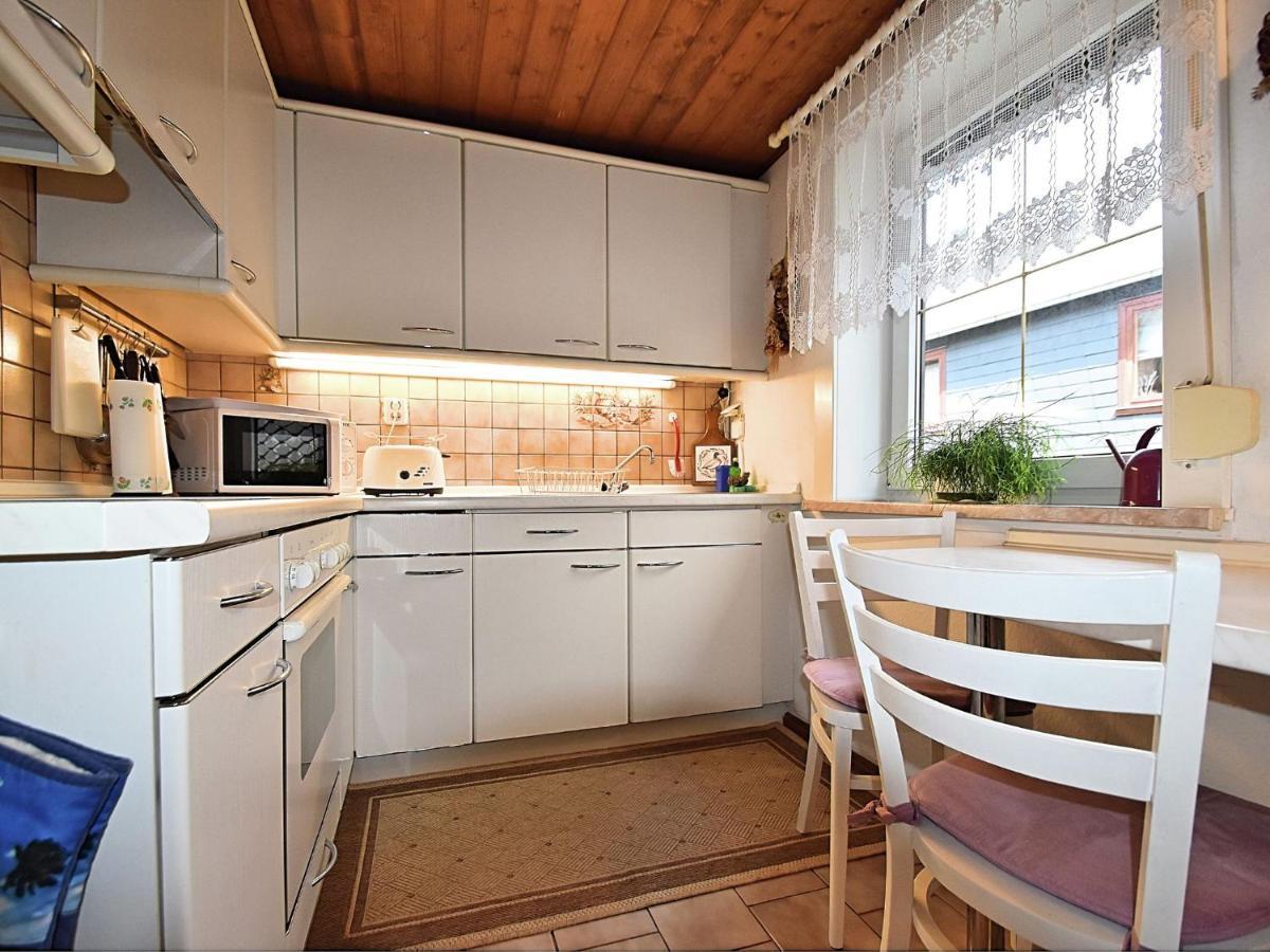 Apartment In Thuringian Forest With Garden Oberweißbach エクステリア 写真